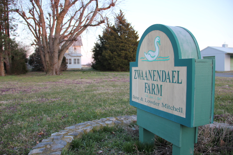 Zwaanendael Farm, just outside the city limits of Lewes on Kings Highway, received Century Farm designation from Delaware in 1999. BY DENNIS FORNEY