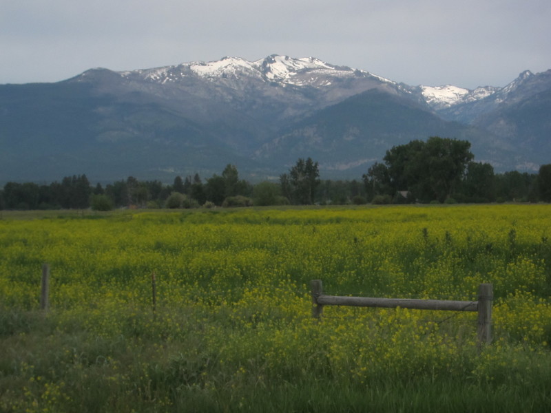 The Rocky Mountains stood to our south through most of today's ride. BY DENNIS FORNEY