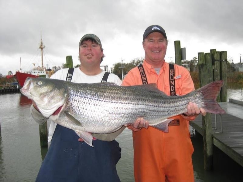 Paul Daisey, left, and Ralph Short caught this 40-pound striper last week in the mouth of Delaware Bay. SOURCE SUBMITTED PHOTO