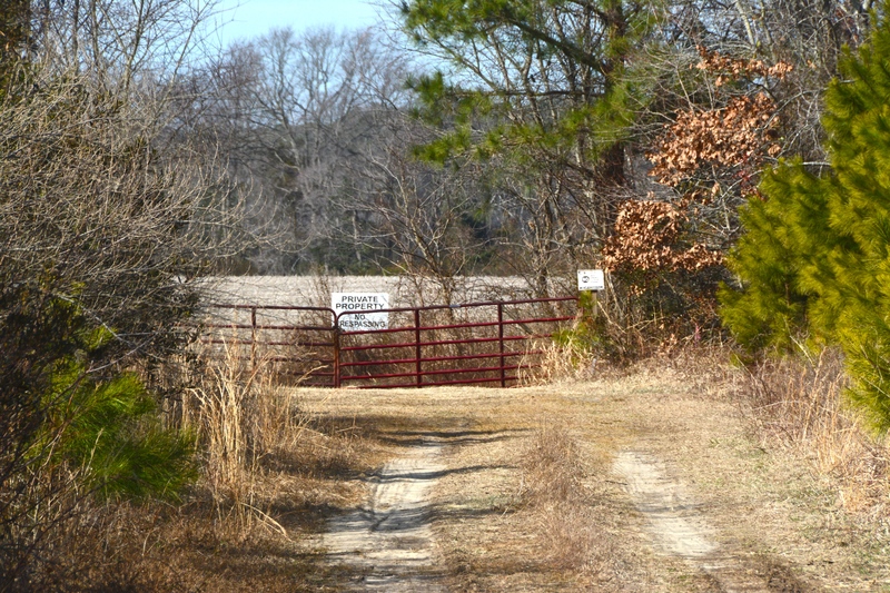 This dirt road leads to the 108-acre parcel for the Harbor Point subdivision off Park Road near Lewes. BY RON MACARTHUR