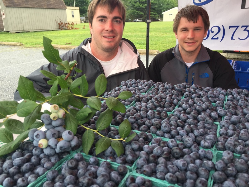 Henry Bennett, left, and A.J. Polek with some of this summer's bounty at the Bennett Orchards stand in the Historic Lewes Farmers Market. Saturday at Shields Elementary in Lewes. BY DENNIS FORNEY