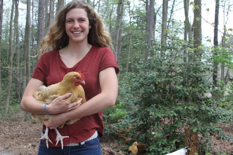 Mikayla Ockels, a senior at Sussex Central High School, and her chicken, Liberty, participated in this year's White House Science Fair. BY MELISSA STEELE