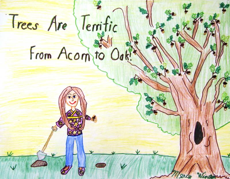 Trees are Terrific...from Acorn to Oak! is the theme of the Delaware Forest Service's annual poster contest. Artwork by Mercy Winston of Milford. SUBMITTED PHOTO