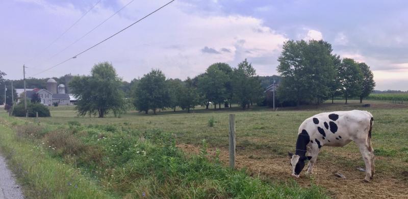 A pastoral scene from the rolling farmland of north central Ohio.