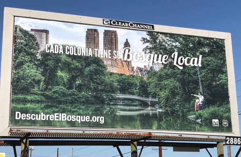 This billboard faces outbound traffic on Savannah Road near the Five Points intersection. “Each neighborhood has its local forest.” DENNIS FORNEY PHOTO