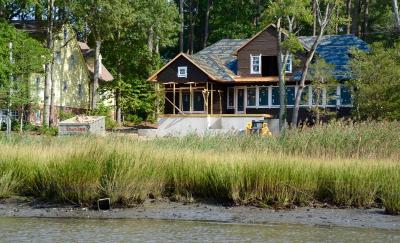 Wetland buffers between tidal waterways and development provide many benefits, including flood protection. RON MACARTHUR PHOTOS