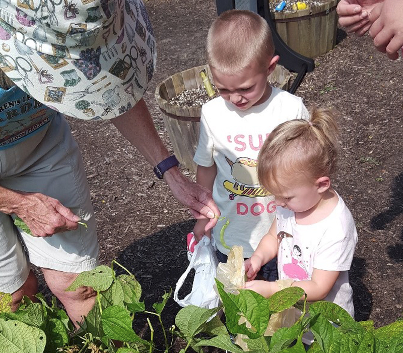 Picking the last of the string beans in the Children’s Learning Garden are Ben and Drew Myer. SUBMITTED PHOTOS