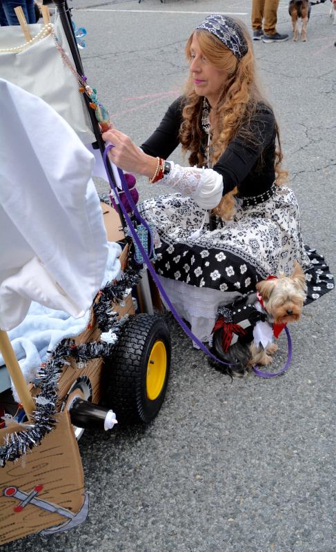 Prize-winner Erika Caldwell of Lewes gets her wagon ready to pull her Yorkshire Terrier, Capt. Jesse James. RON MACARTHUR PHOTO