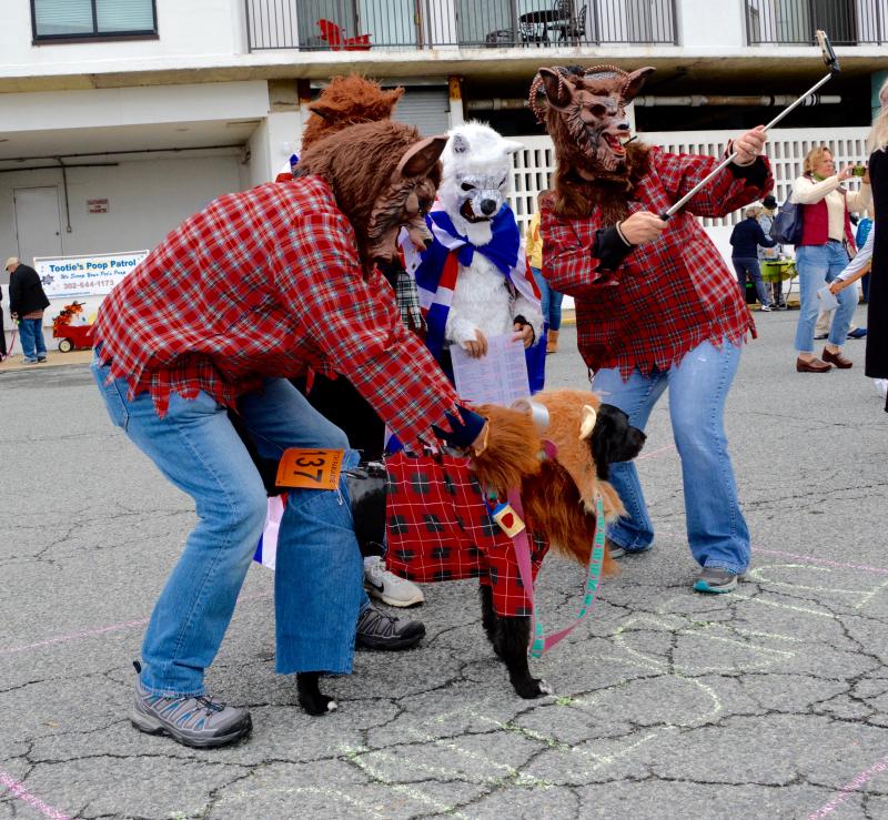 The Werewolves of London line up for judging before the start of the pet parade. The judges awarded them a prize. RON MACARTHUR PHOTO