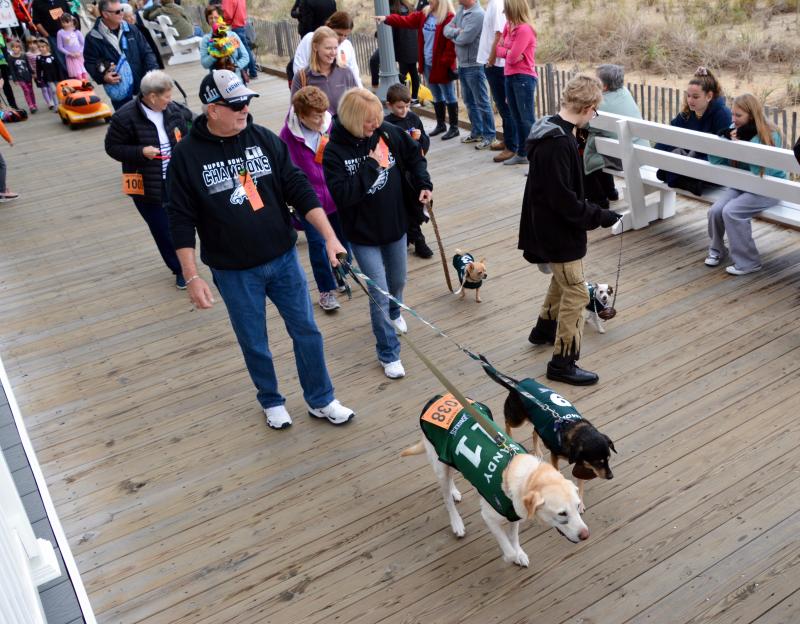 True Eagles fans dress their dogs in uniforms. RON MACARTHUR PHOTO