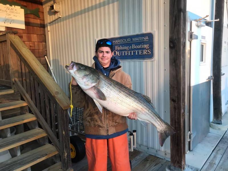 Carter Dirado with his 42.5-pound rockfish caught at the Eights on a trolled MOJO. Could this be a sign of something good to come? SOURCE: LEWES HARBOUR MARINA