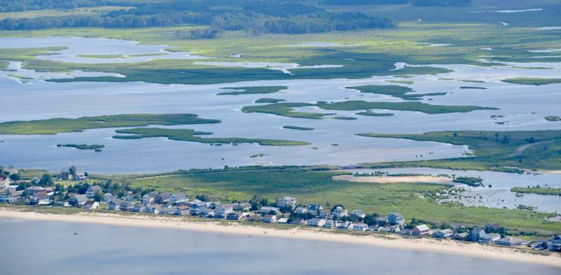 Sussex County officials are looking at possible updates to existing wetlands buffers regulations to offer more protection to areas such as this near Primehook Beach. RON MACARTHUR PHOTO