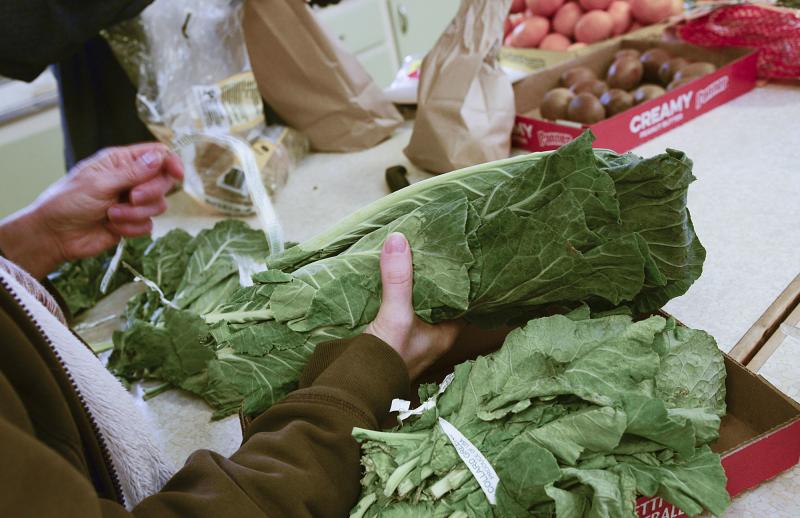 A volunteer removes frozen leaves from a bunch of collards.