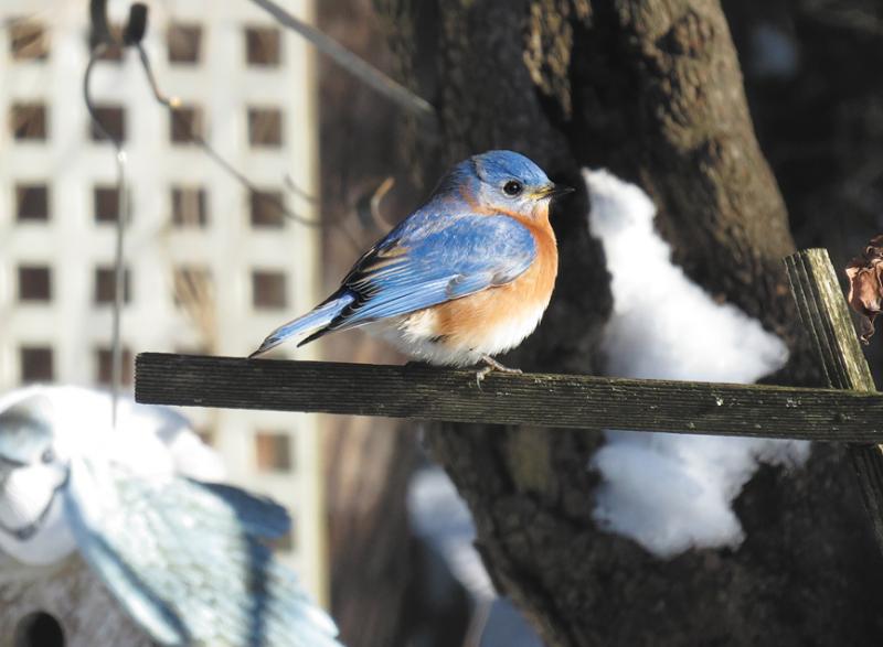 CYNTHIA RITTHALER PHOTO
