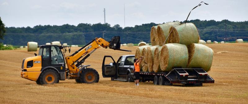 Some farmers bale their straw and stack it while others wrap their straw in plastic and gather it in the field with a forklift. Many motorists stopped and watched as this process was taking place on a field along Plantation Road near Lewes. RON MACARTHUR PHOTOS