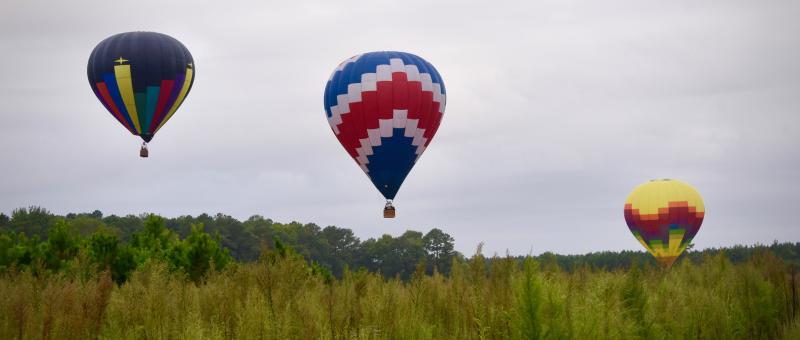 Nightstar, A Rising Star, and Hour Bundle of Joy fly over a Sussex County field.