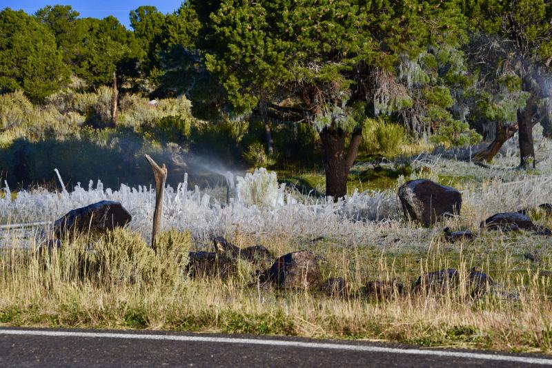 Ranchers face a battle keeping enough water on their fields to graze their cattle and horses. Irrigation runs constantly – including during this early morning when the water froze.