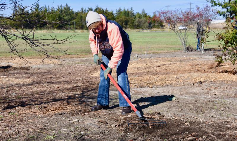 Mary Ellen Zweier of Milford works the soil with a rake as she removes old roots.