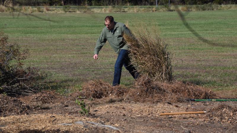 Eric Zuelke, Delaware Native Plant Society coordinator of the project, pulls out a large clump of grass to make way for planting space.