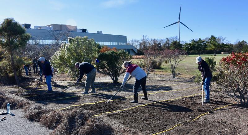 Volunteers work in their sectioned off grids in preparation to plant wildflower seeds to attract pollinators.