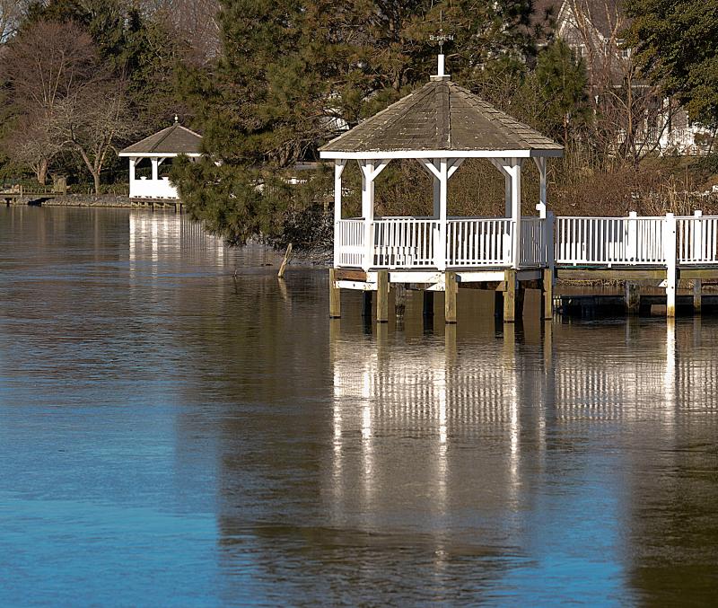 SOLA3 is dedicated to restoring, protecting, and maintaining the three freshwater lakes in the Rehoboth Beach area – Silver Lake, Lake Comegys. and Lake Gerar. RON MACARTHUR PHOTO