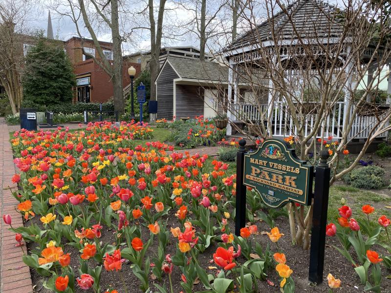 Mary Vessels Park is awash in color. DENY HOWETH PHOTO