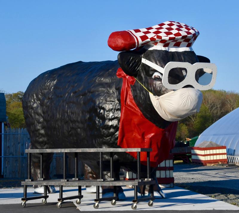 Even the giant bull at Parsons Farms Produce near Frankford is wearing a protective face mask.