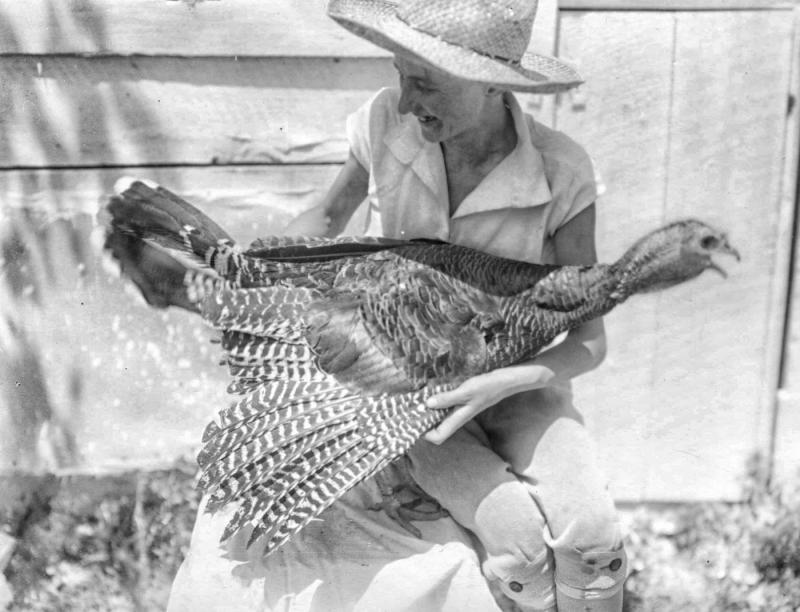 DELAWARE PUBLIC ARCHIVES/DEPT. OF AGRICULTURE GLASS NEGATIVE COLLECTION