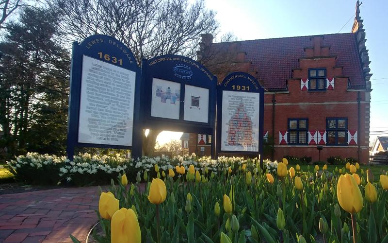 Follow, follow, follow, follow, follow the yellow tulip road. KRISTIN AQUARIANN PHOTO
