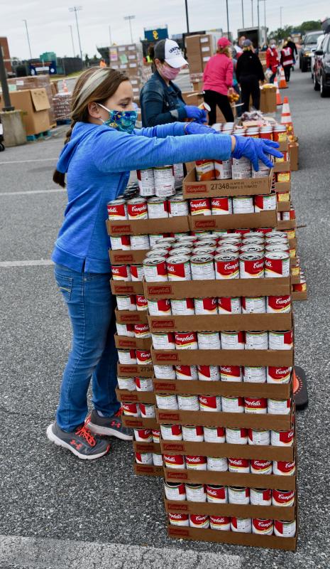 Eliana Hudson of Millsboro, the youngest volunteer taking part in the food distribution, gets canned goods ready for loading.
