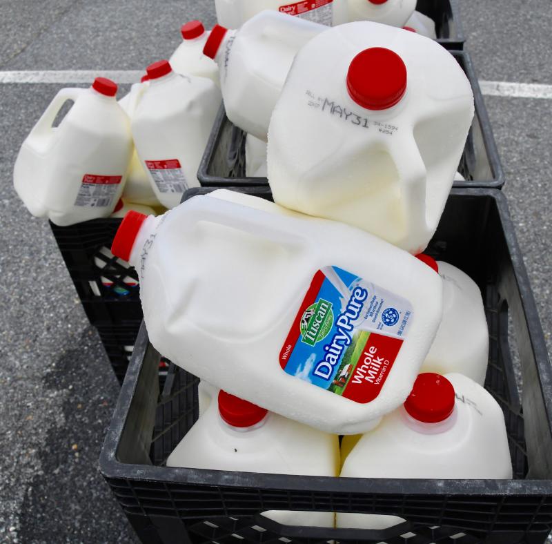 Each person in line is given a gallon of milk.