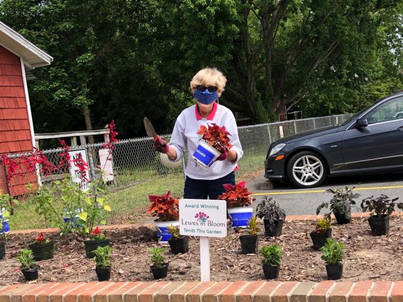 Planting annuals outside the Lewes firehouse is Betsy Hansot. SUBMITTED PHOTOS
