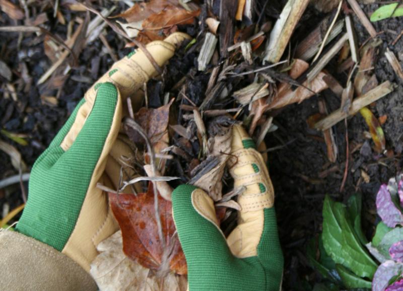 Mulching garden beds and around trees and shrubs conserves moisture, keeps roots cool, and suppresses weeds.
SUBMITTED PHOTO