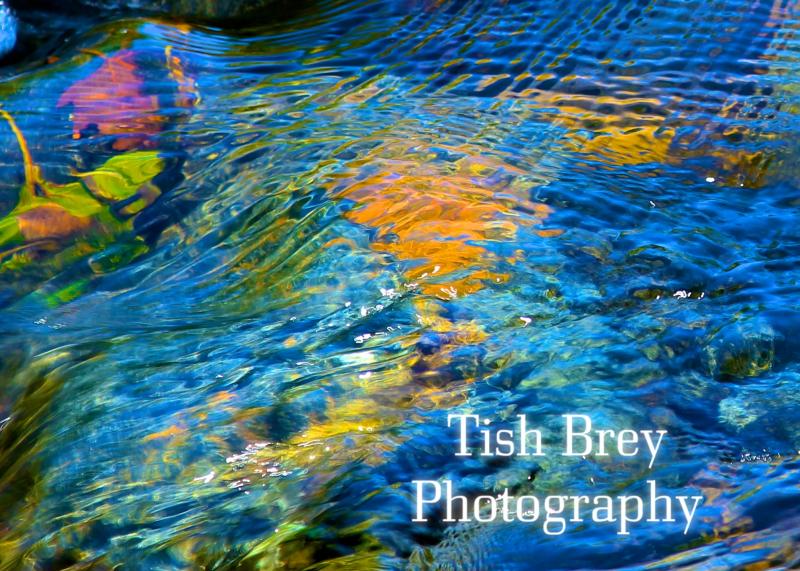 Photograph by Tish Brey Photography.