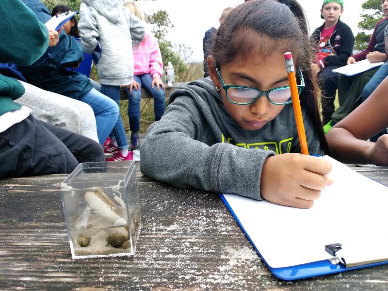 A student of the Center for Inland Bays’ Day on the Bay program records her observations on a sample collected from Indian River Bay. The new education building will provide more suitable workspace for students, as well as shelter from the elements during inclement weather. SUBMITTED PHOTOS