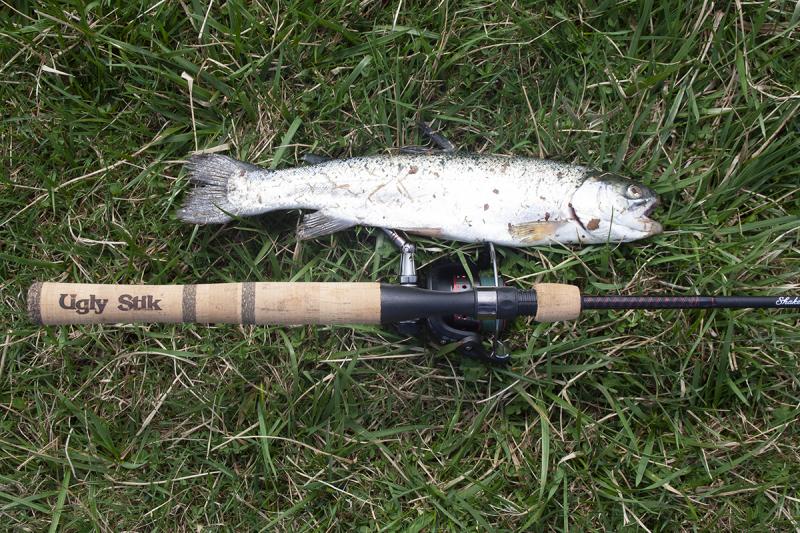A typical trout caught out of Wilson Run on a worm. ERIC BURNLEY PHOTO
