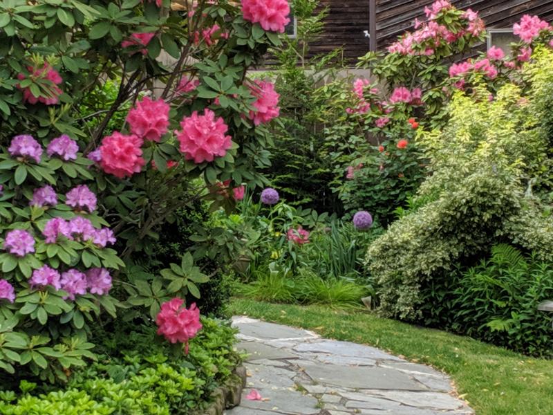 This plant community at Mill Pond Garden is flourishing in late May. SUBMITTED PHOTOS