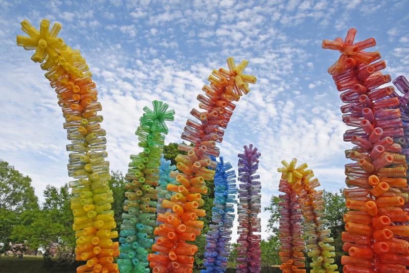 The colorful stalks pop in the park.