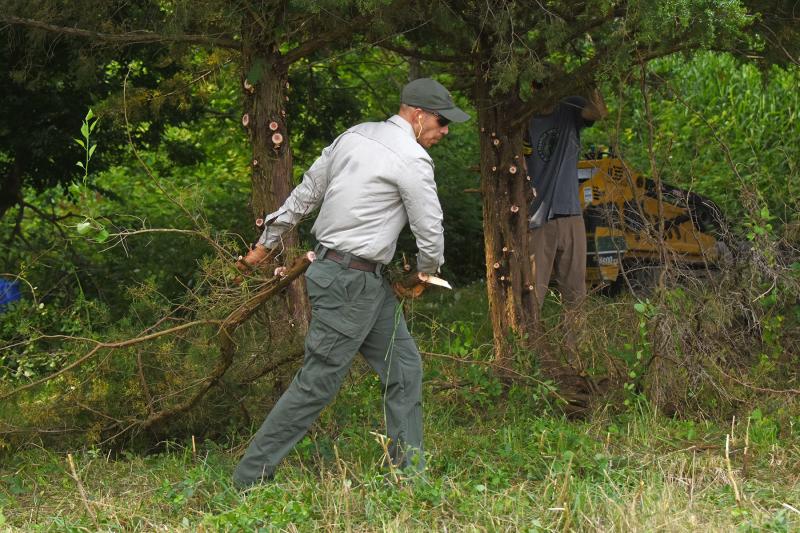 Parker Wells drags a branch out of the cleared area.
