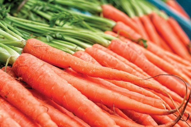 July is the perfect time to plant carrots that will grow all summer and be ready to harvest in the fall garden.