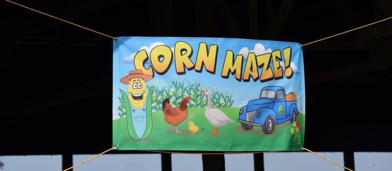 The Lewes area now has its own corn maze on the Hopkins farm property off Route 9 and Dairy Farm Road.
