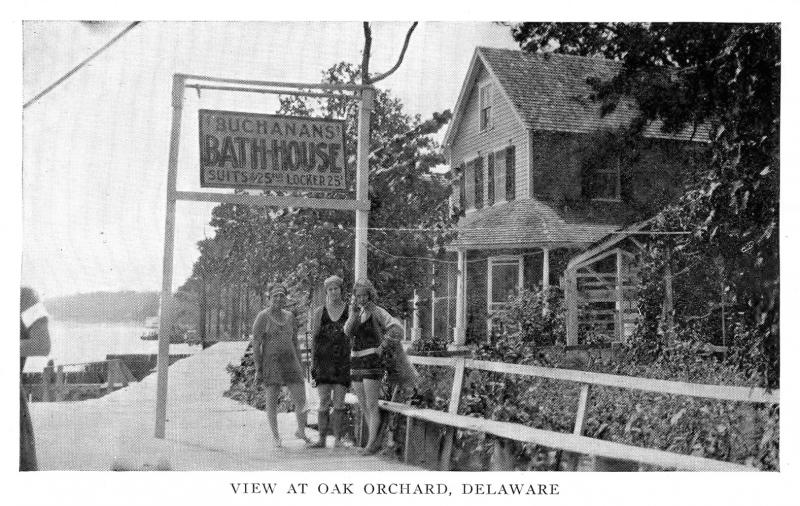 DELAWARE PUBLIC ARCHIVES/POSTCARD COLLECTION