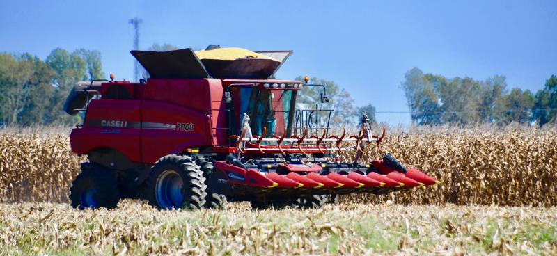 A combine filled with harvested corn heads to the end of the field to unload into a waiting tractor-trailer.