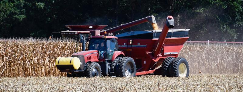 This combine is offloading harvested corn as it takes down corn stalks in the field.