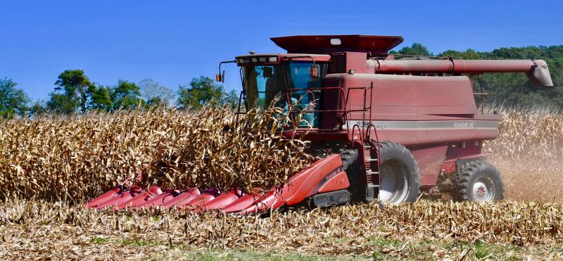 A Case combine plows through a field just off Route 24 along Mulberry Knoll Road near Lewes. Farmers can expect to pay from $380,000 to $500,000 for a new high-tech combine.