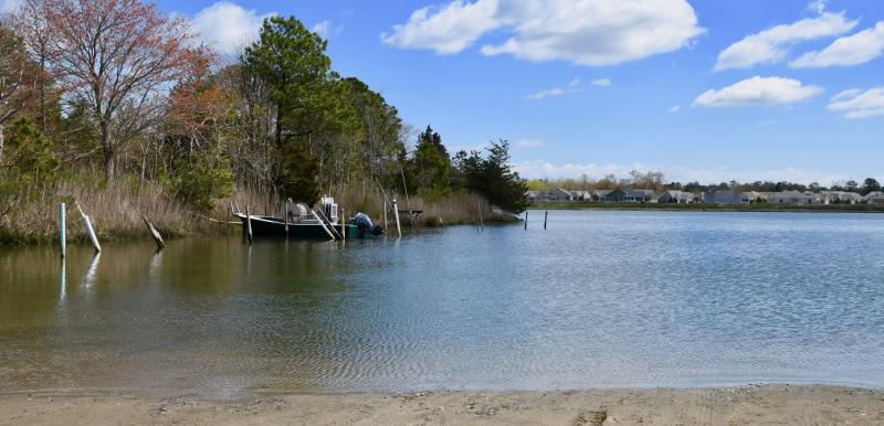 Sussex County officials are working to enact new buffer regulations to protect the county’s valuable wetlands and waterways. RON MACARTHUR PHOTO