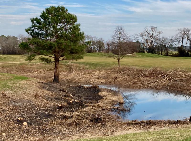 Burned ground and cut-down saplings along the pond separating the 13th fairway and the 15th green/16th tee box at The Rookery are part of a general cleanup project this winter. FRITZ SCHRANCK PHOTOS