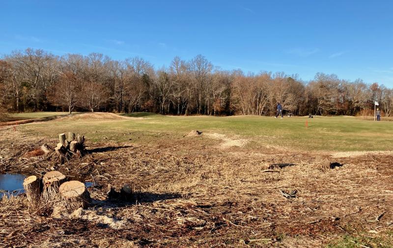 Large tree stumps near the Rookery’s fourth green will be ground down or removed.