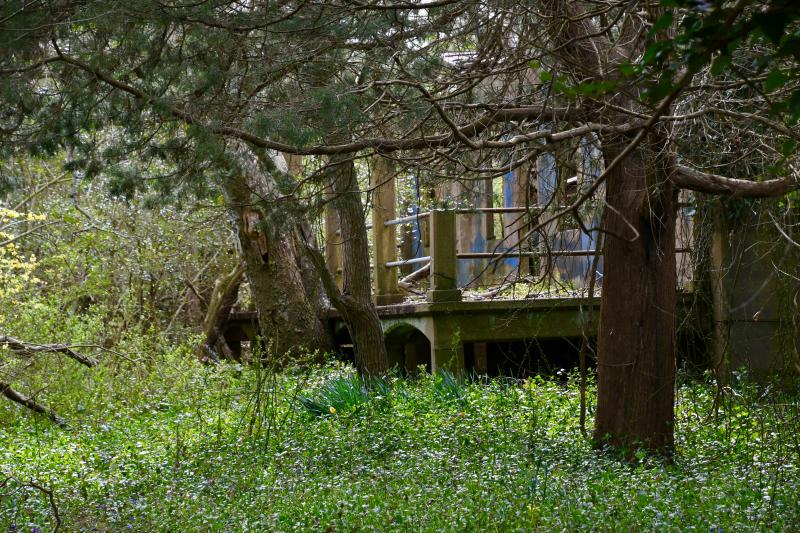 The remains of the Green Hill Light keeper’s house are nearly camouflaged by trees and bushes in this photograph taken in 2021. RON MACARTHUR PHOTOS