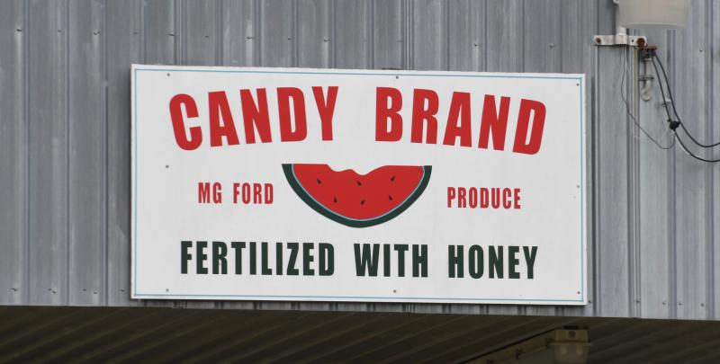 MG Ford Produce, headquartered in Florida, is one of the largest wholesalers at the auction market.